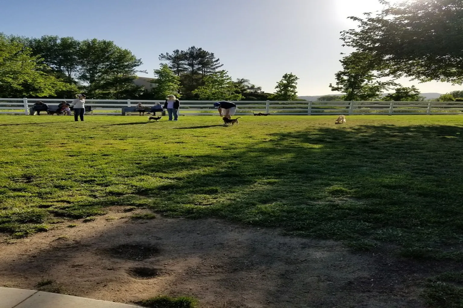 Temecula Dog Exercise Area in Temecula, California