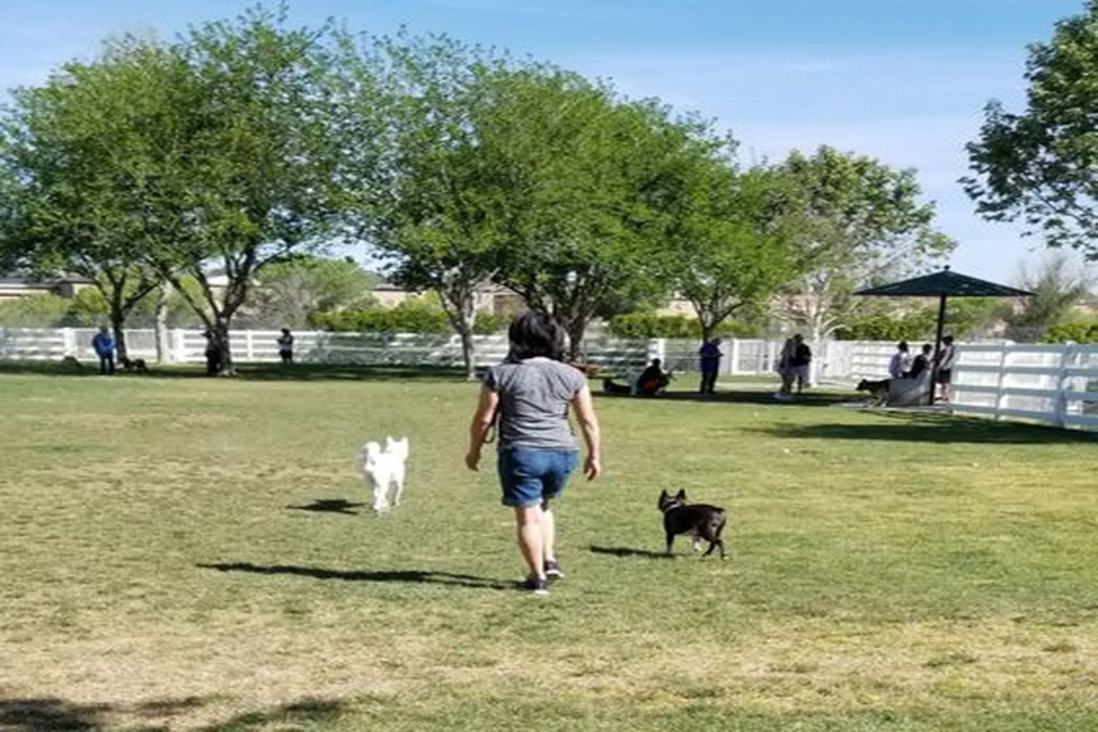 Redhawk Community Dog Park in Temecula, California