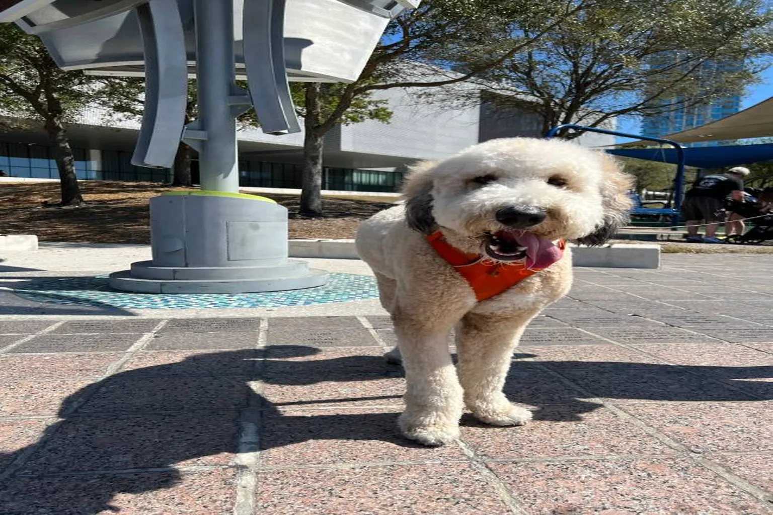 Curtis Hixon Waterfront Dog Park in Tampa, Florida