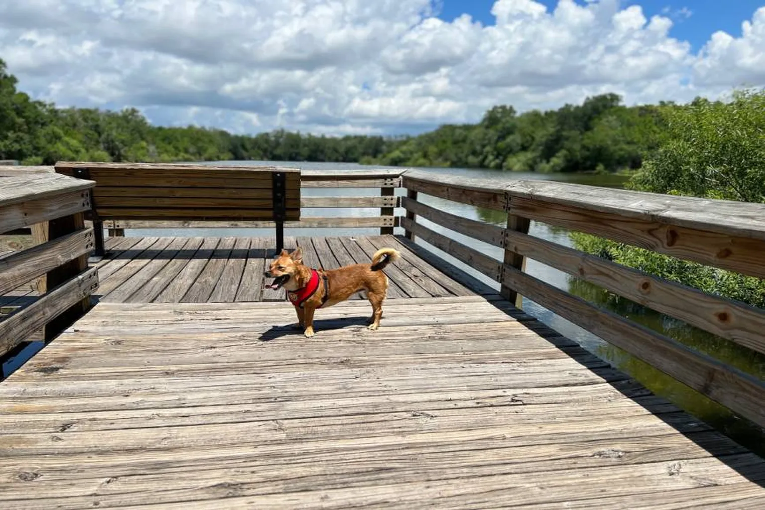 James Urbanski Dog Park (At Al Lopez Park) in Tampa, Florida