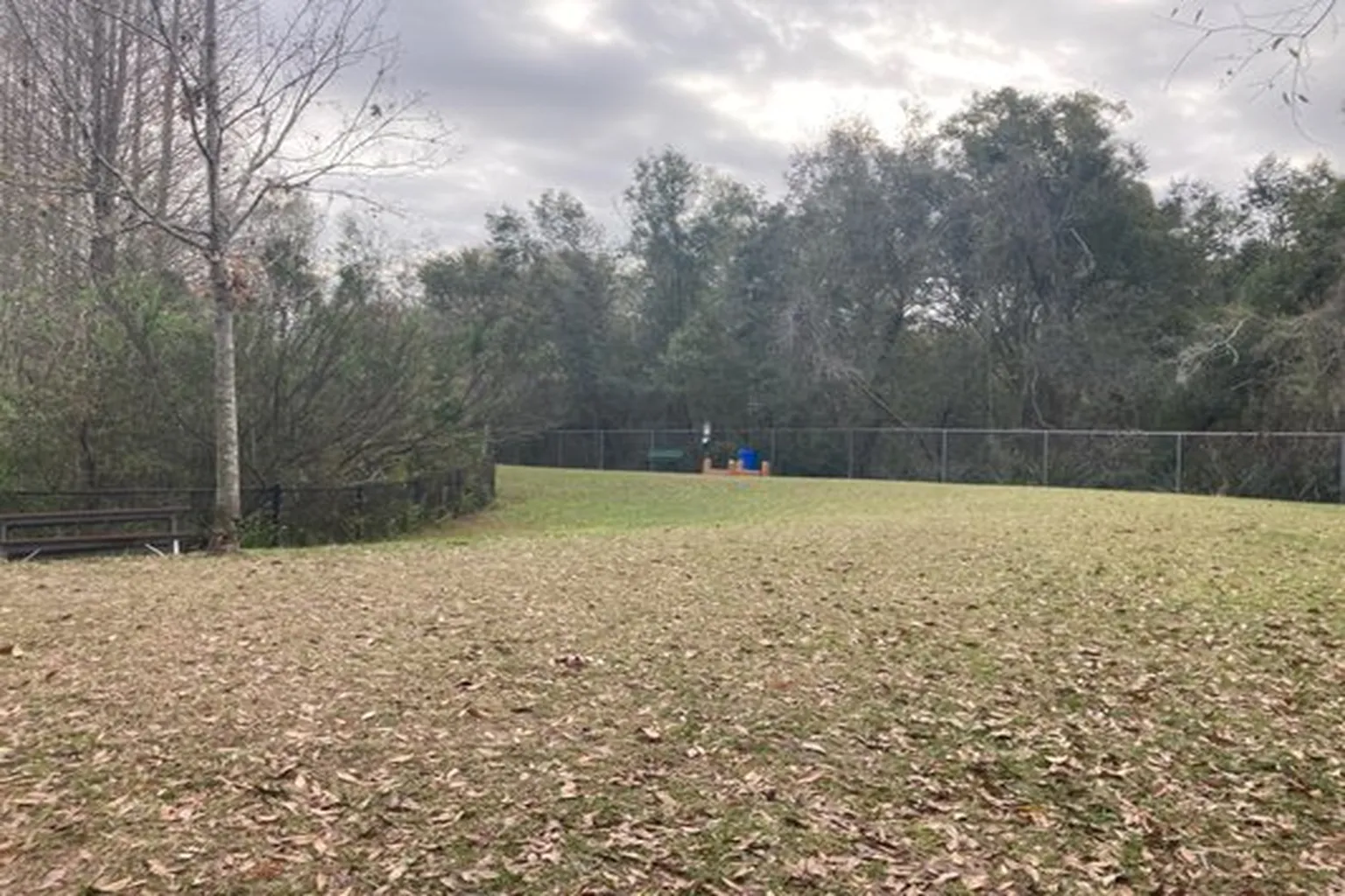 Carolyn Meeker Dog Park in Lutz, Florida