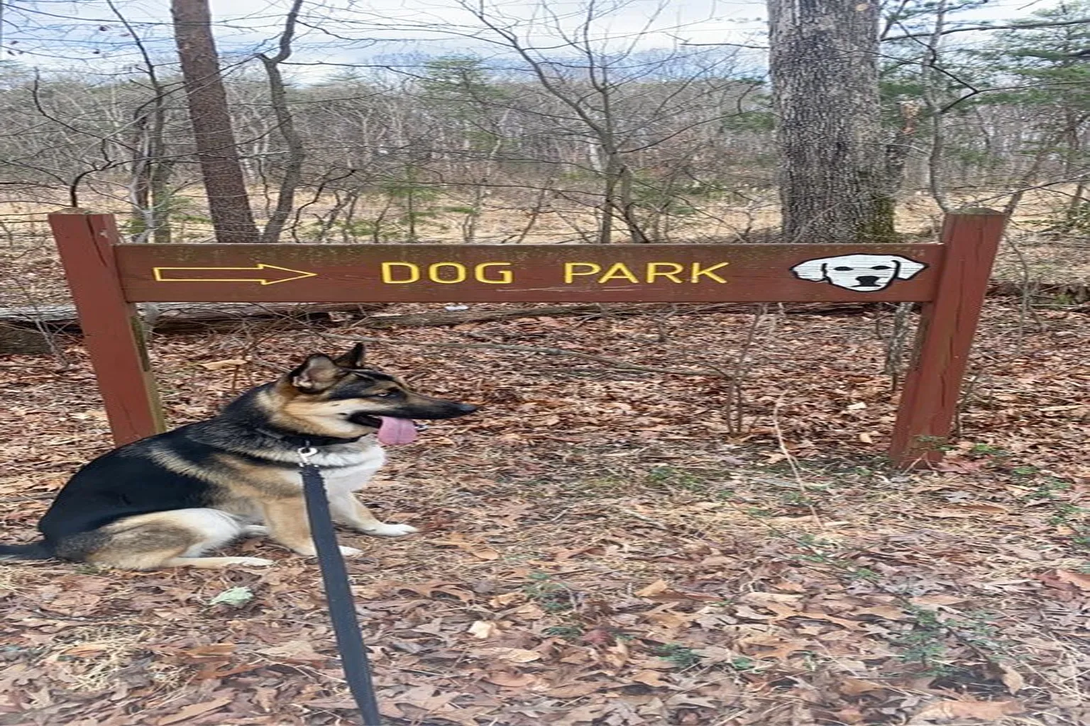 South Run Dog Park in Springfield, Virginia