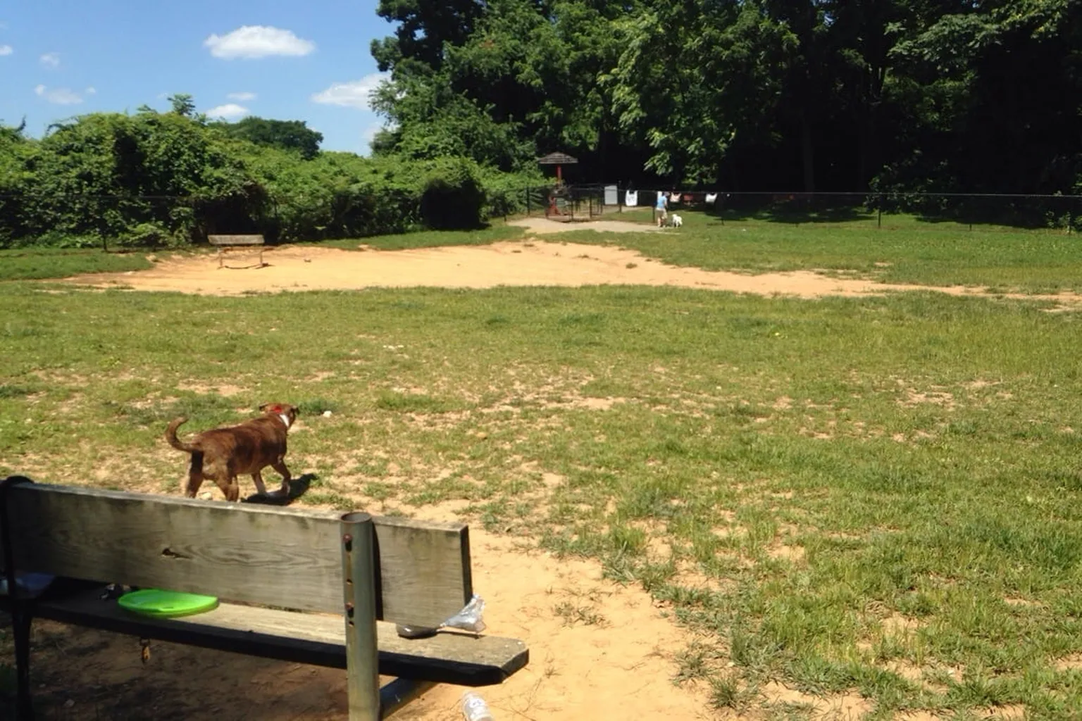 Blake Lane Dog Park in Oakton, Virginia