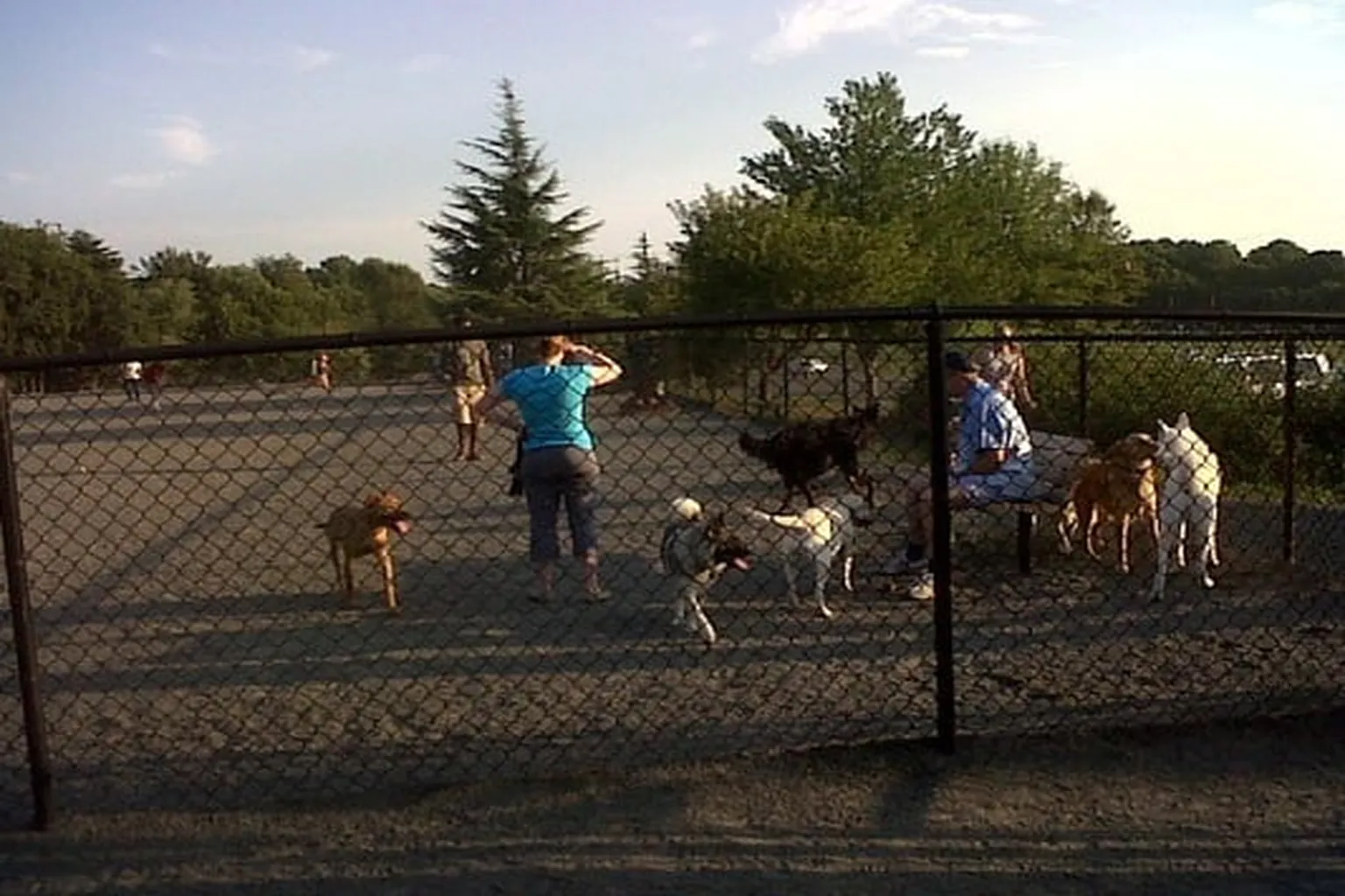 Baron Cameron Dog Park in Reston, Virginia - Main Image