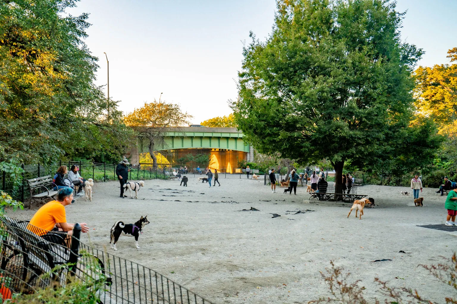 Kaiser Park Off Leash Dog Area in New York City, New York