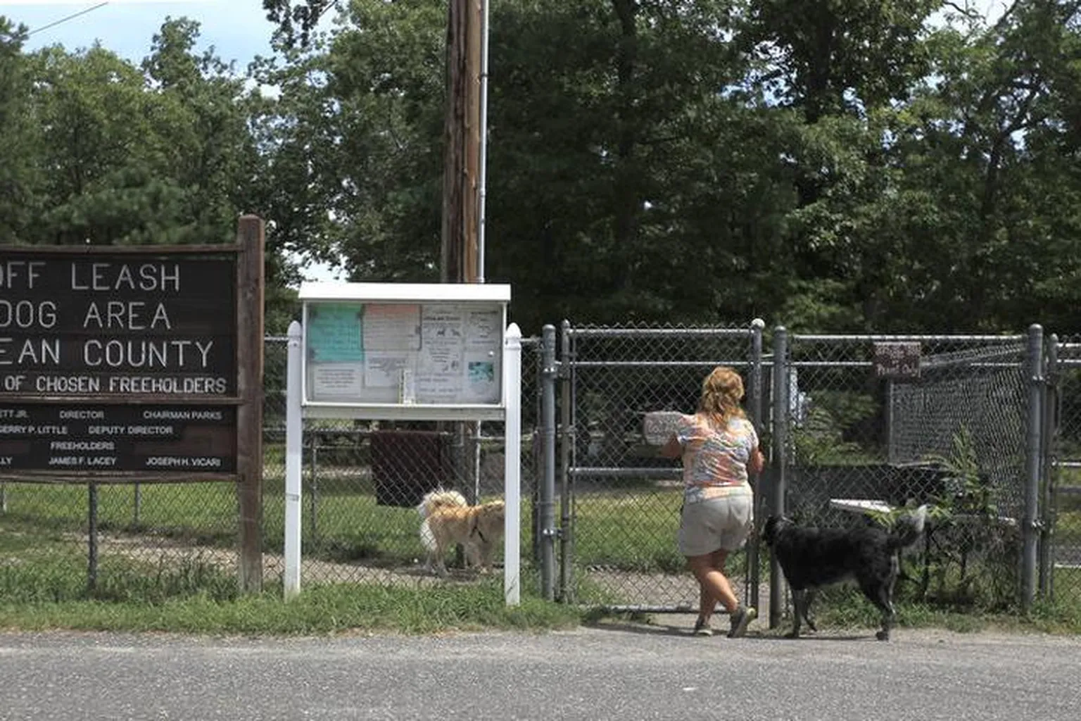 Ocean County Park Off-Leash Dog Area in Lakewood, New Jersey