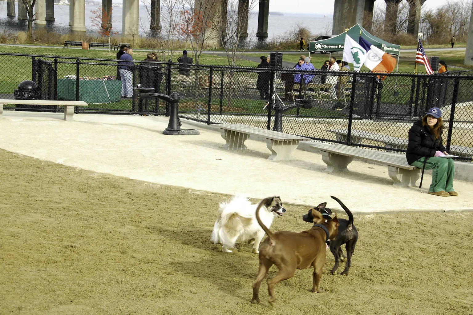 Dyker Beach Park Off Leash Dog Area in New York City, New York