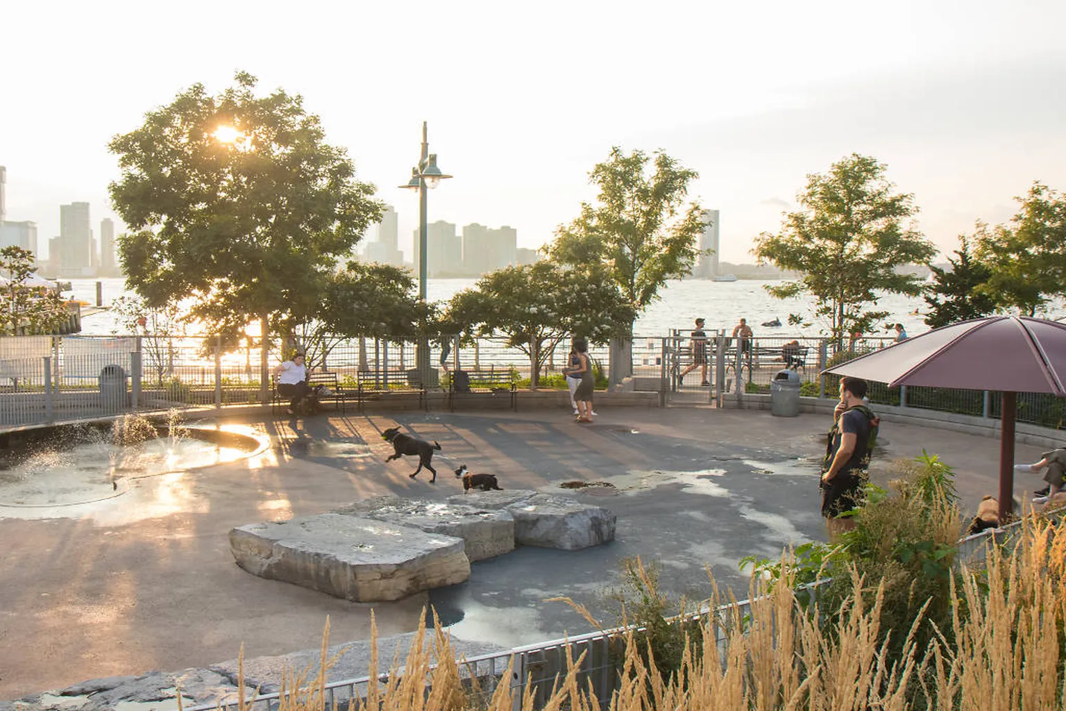 Shore Road Park Off Leash Dog Area in New York City, New York