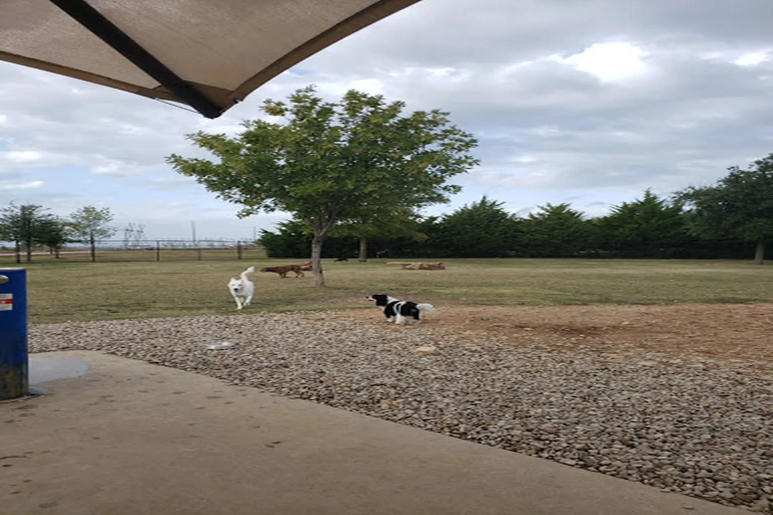 Irving Dog Park in Irving, Texas