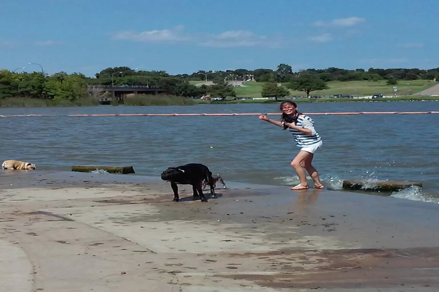 Mockingbird Point Dog Park in Dallas, Texas