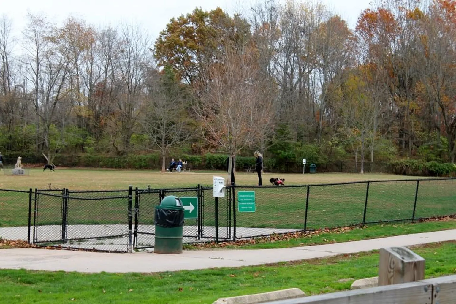 Colonial Dog Park in Somerset, New Jersey