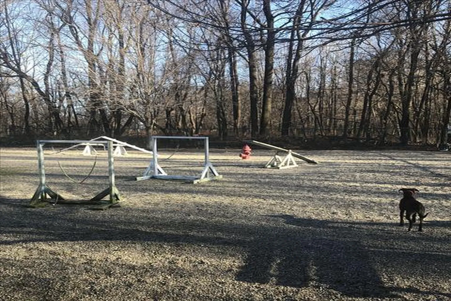 Randolph Township Dog Park in Randolph, New Jersey
