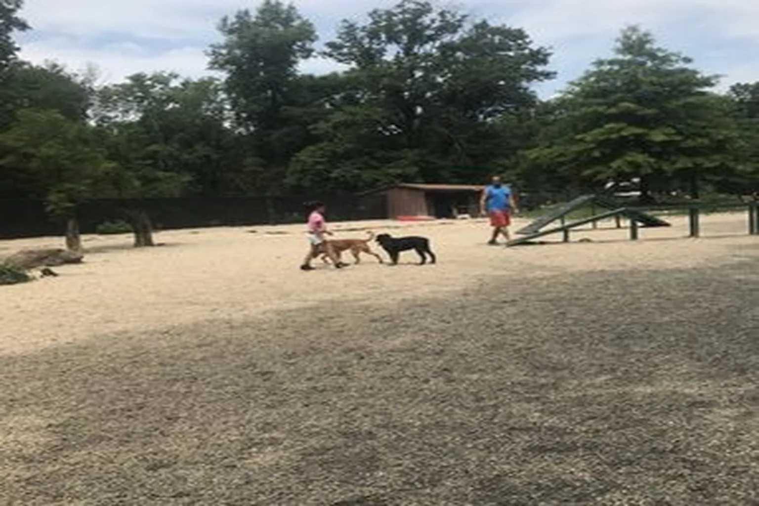 University Avenue Park in Maplewood, New Jersey