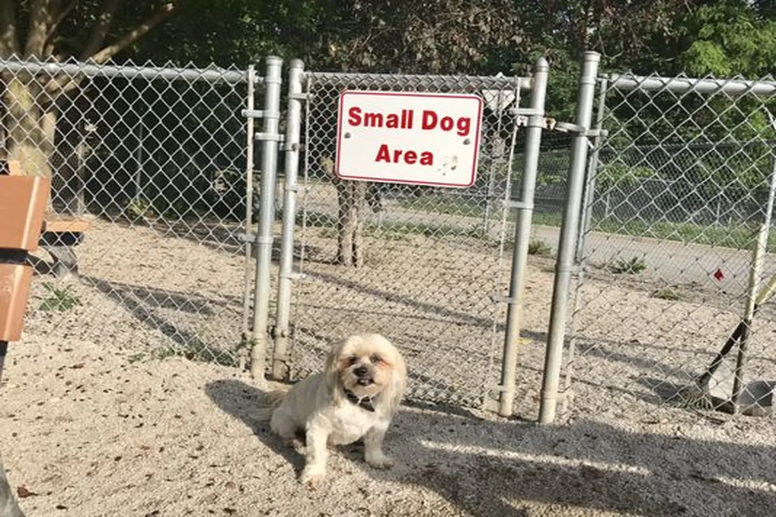 Lakewood Dog Park in Lakewood, Ohio