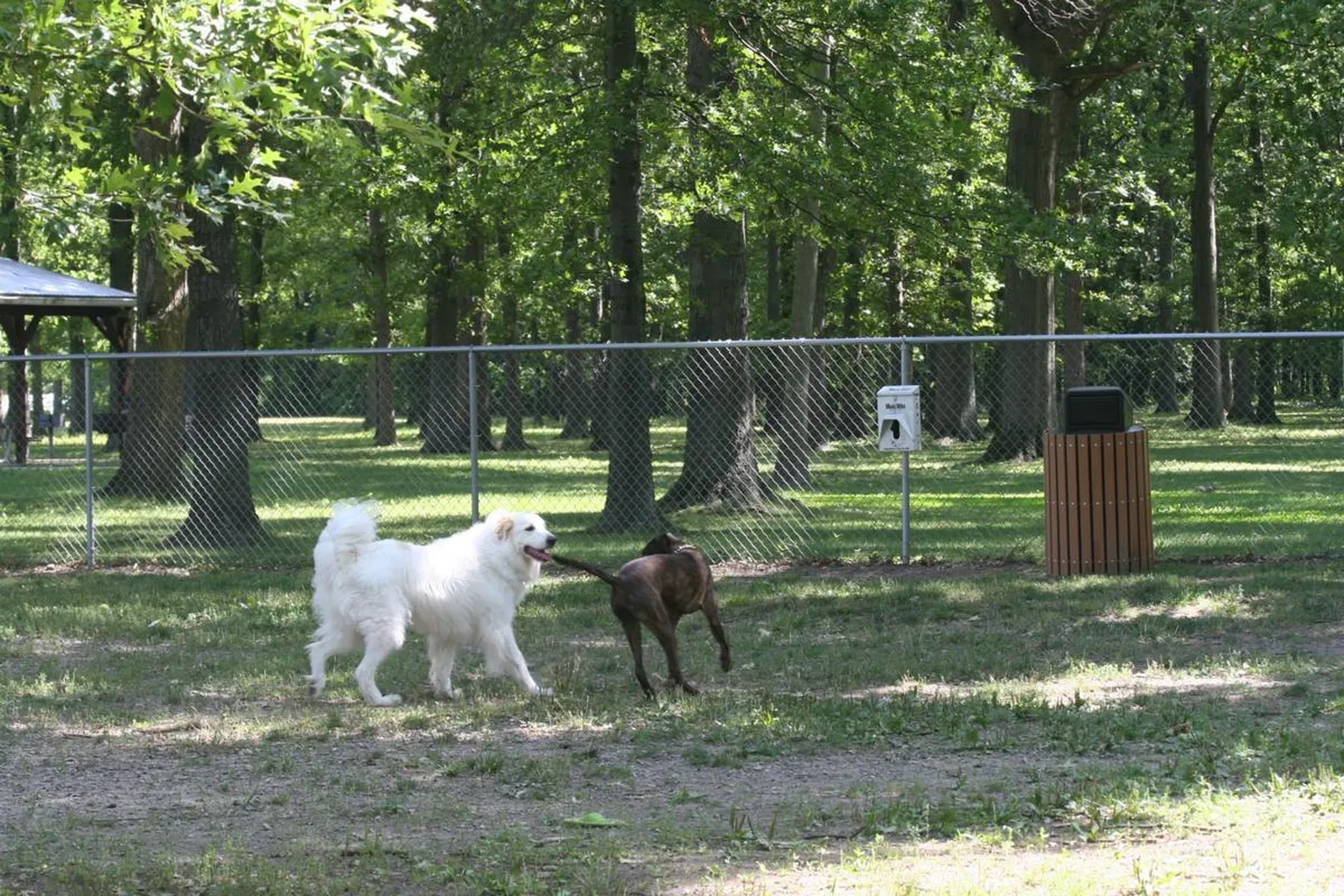 Park 4 Paws Avon Lake Dog Park in Avon Lake, Ohio