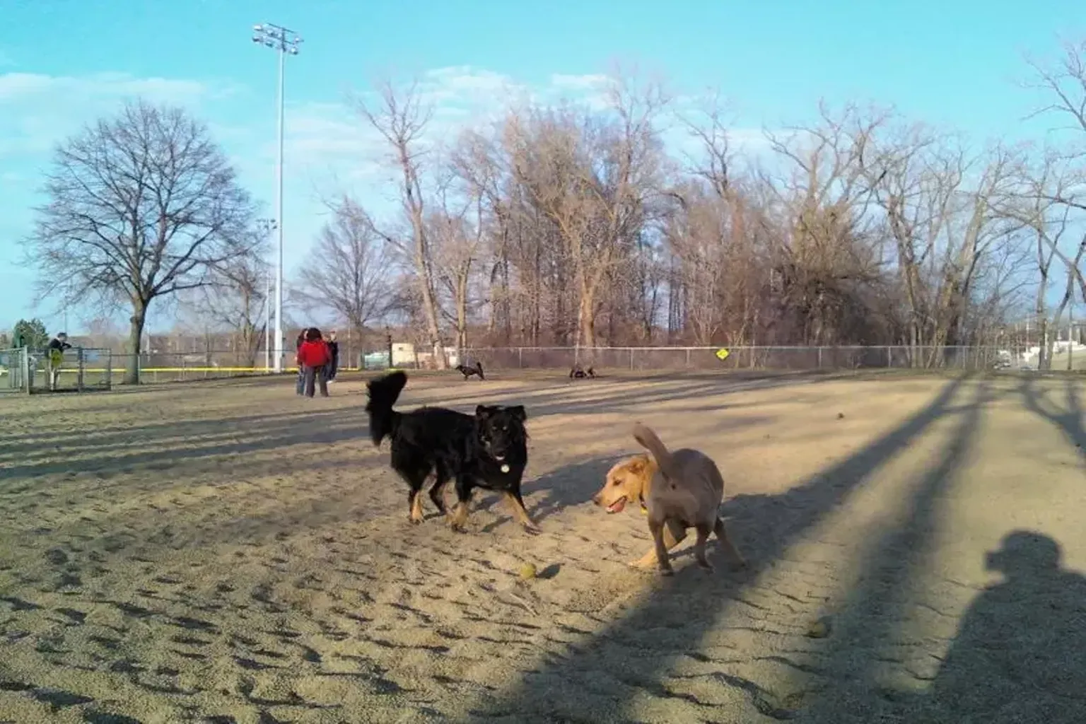 Quarry Dog Park - South Euclid in South Euclid, Ohio