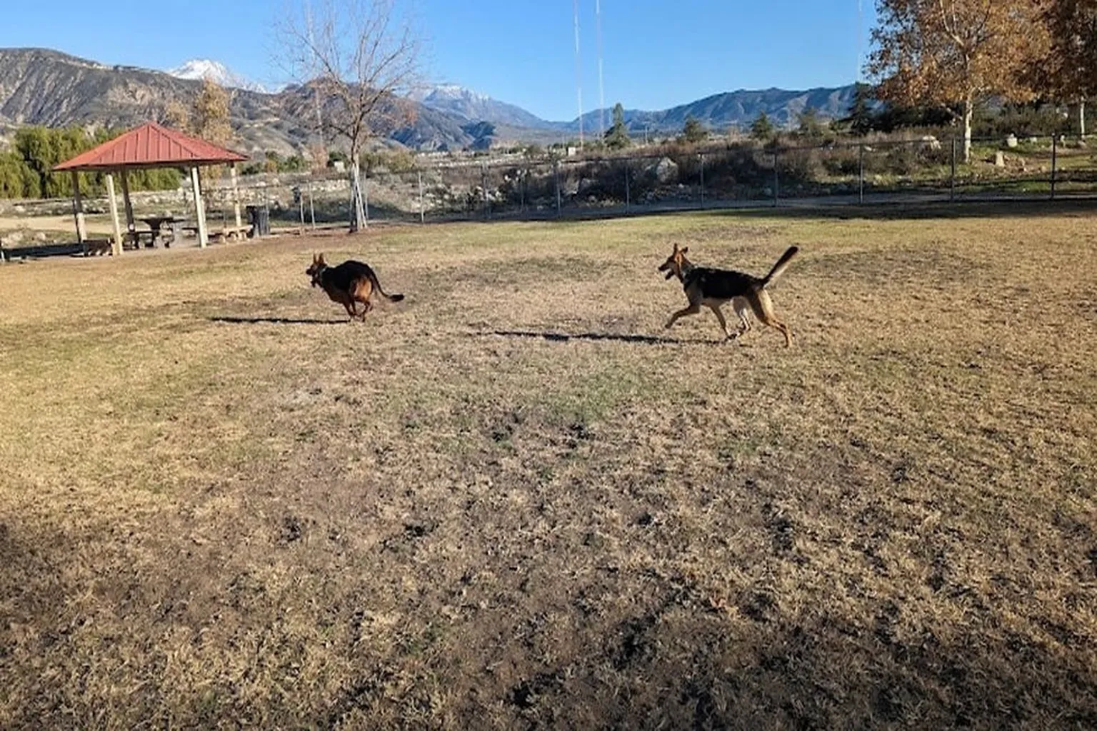Aurantia Dog Park in Highland, California