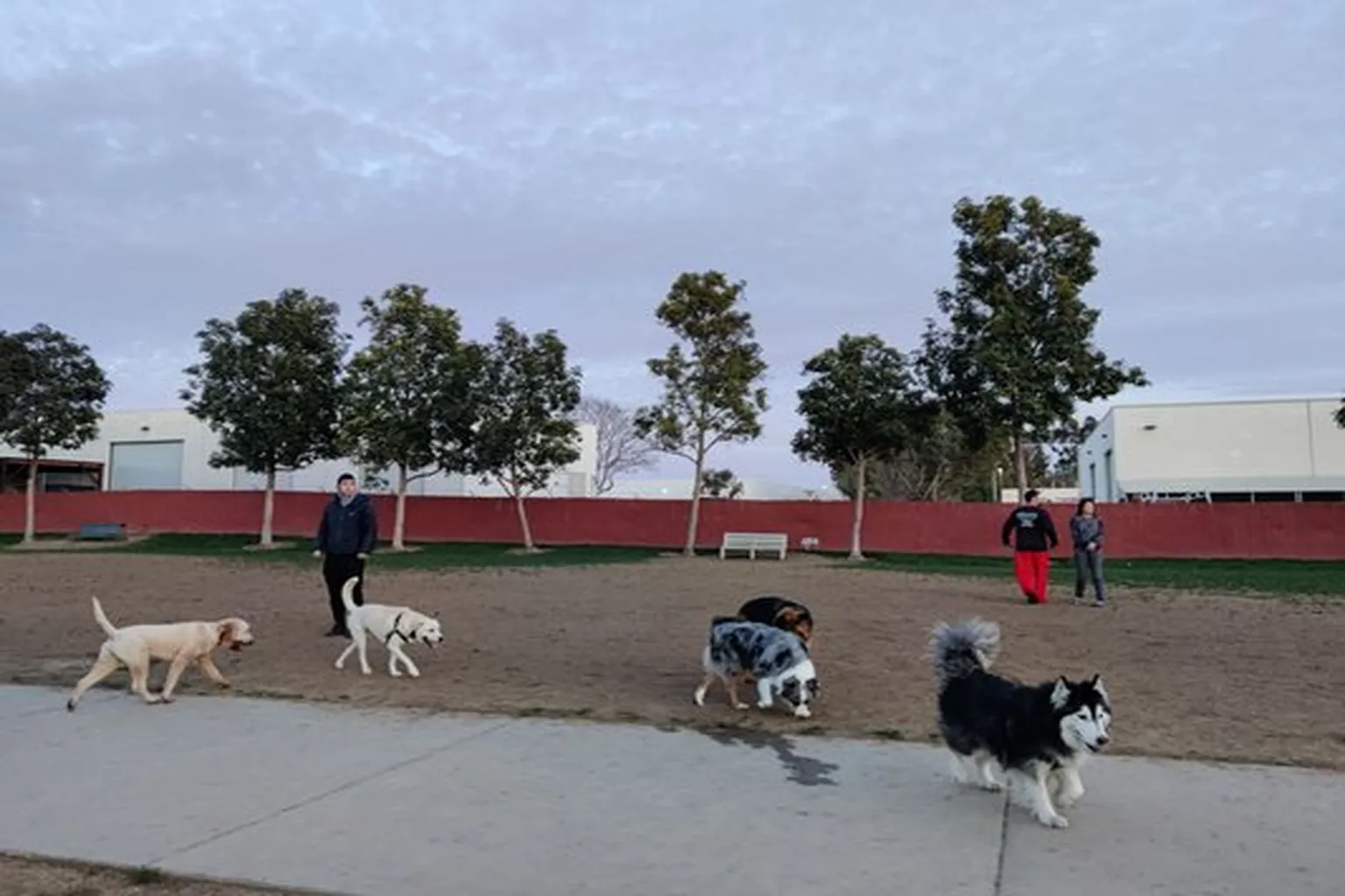 Central Bark Dog Park - Irvine in Irvine, California - Main Image