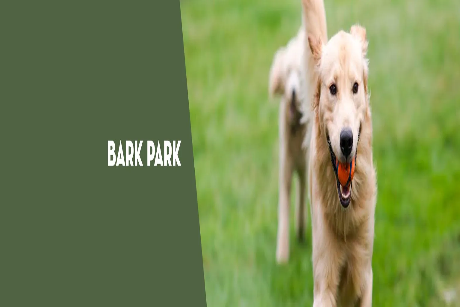 Costa Mesa Bark Park (At Tewinkle Park) in Costa Mesa, California - Main Image