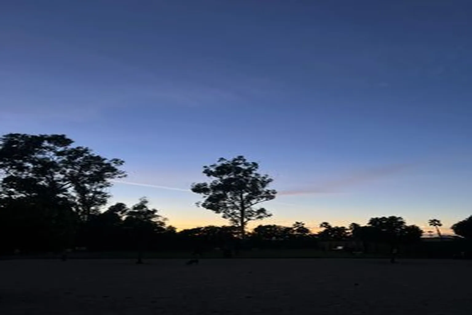 Yorba Dog Park in Orange, California