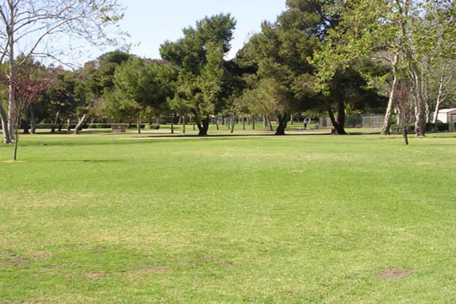 Huntington Central Park Dog Park in Huntington Beach, California