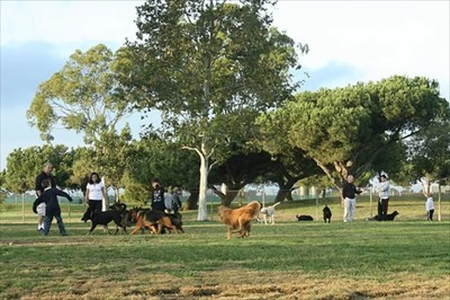 Arbor Dog Park in Seal Beach, California