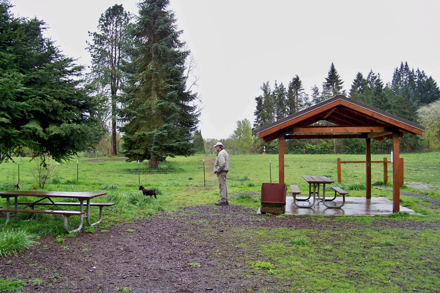 Memorial Park Off-Leash Dog Park in Wilsonville, Oregon