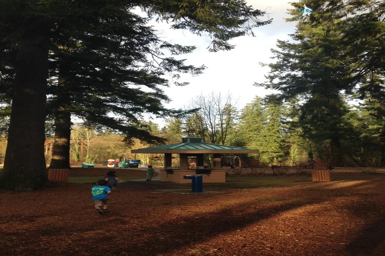 Tualatin Dog Park (At Tualatin Community Park) in Tualatin, Oregon