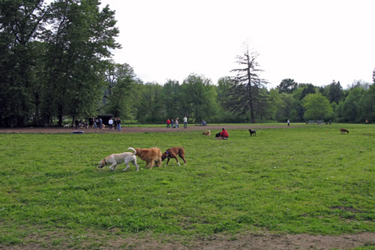 North Clackamas Dog Park in Milwaukie, Oregon