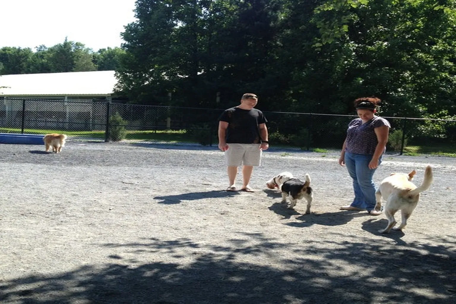 Wheaton Dog Park in Wheaton, Maryland