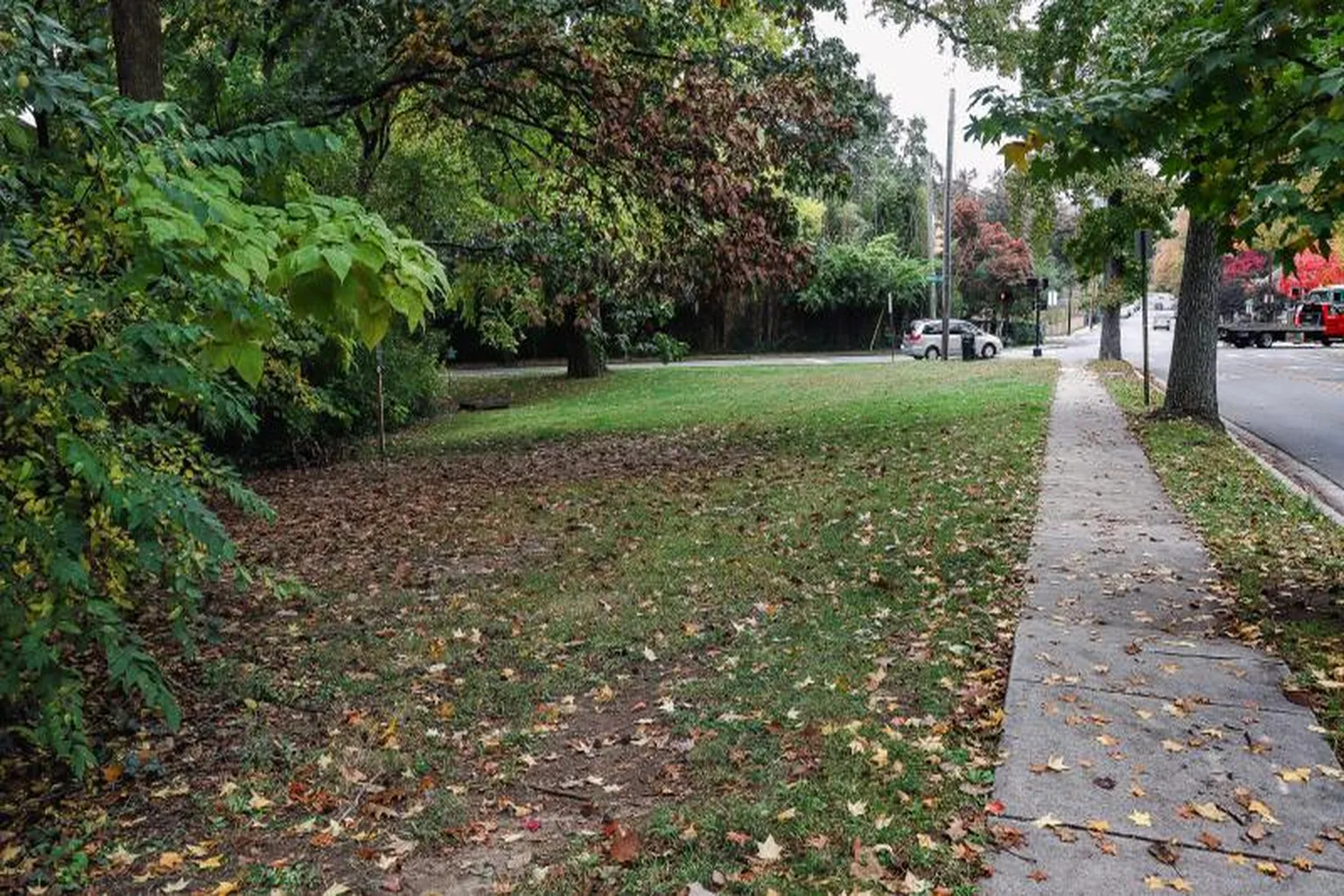 Braddock Road Dog Run Area in Alexandria, Virginia - Main Image