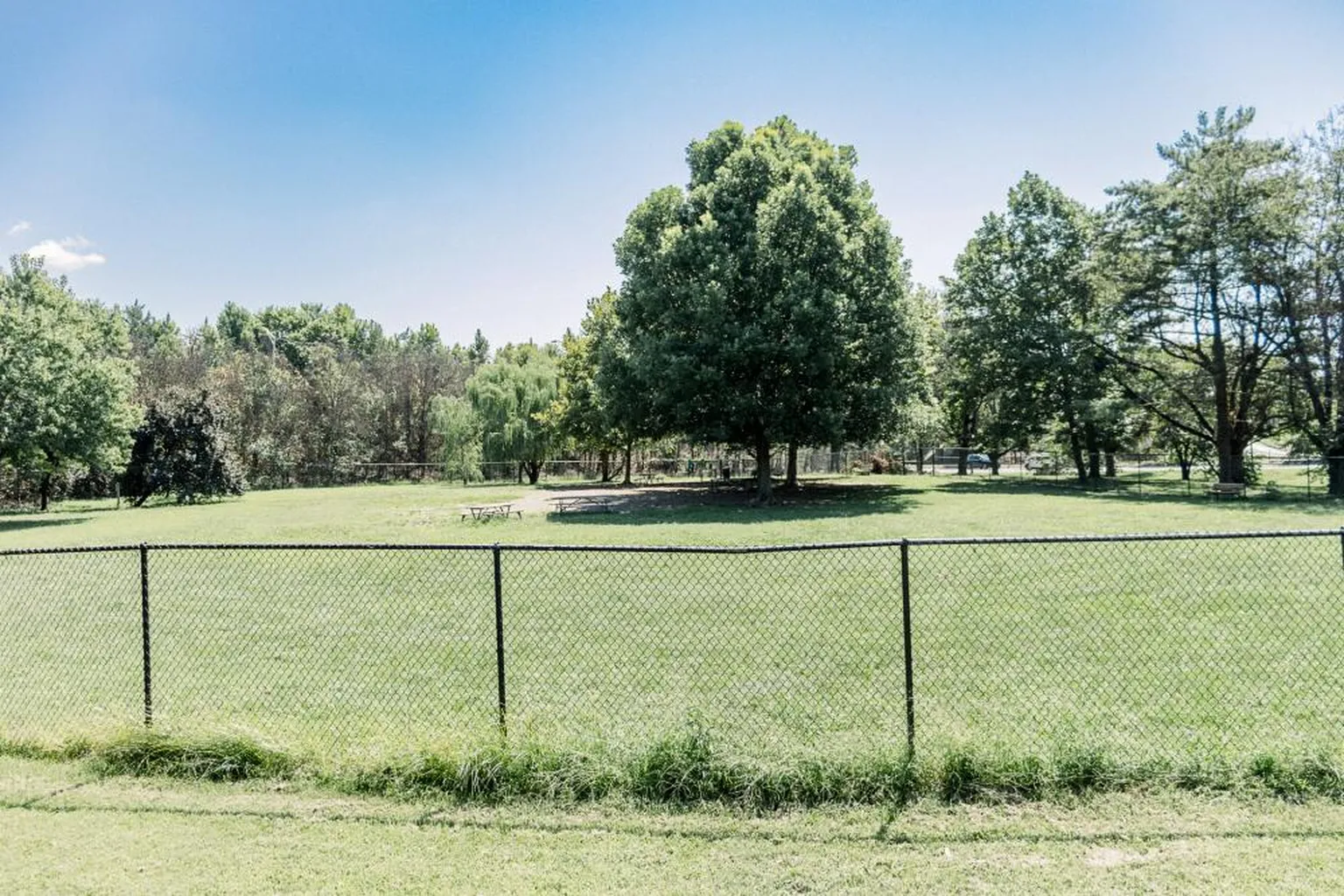 Duke Street Dog Park in Alexandria, Virginia