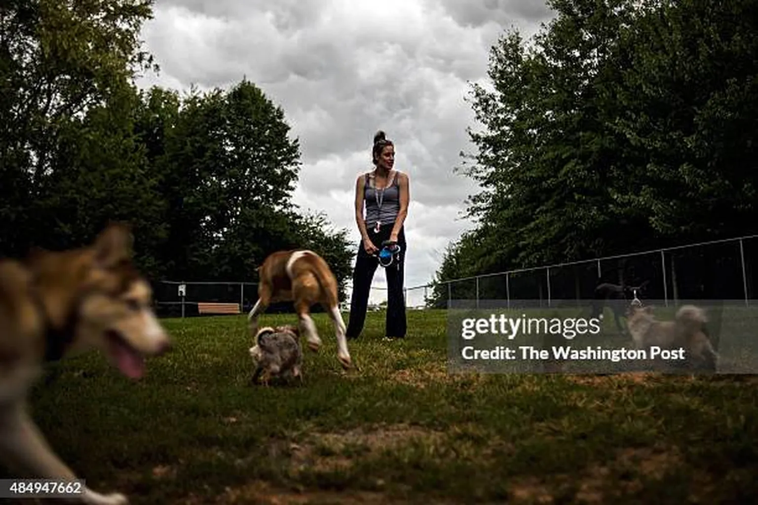 Green Run Dog Park in Gaithersburg, Maryland - Main Image