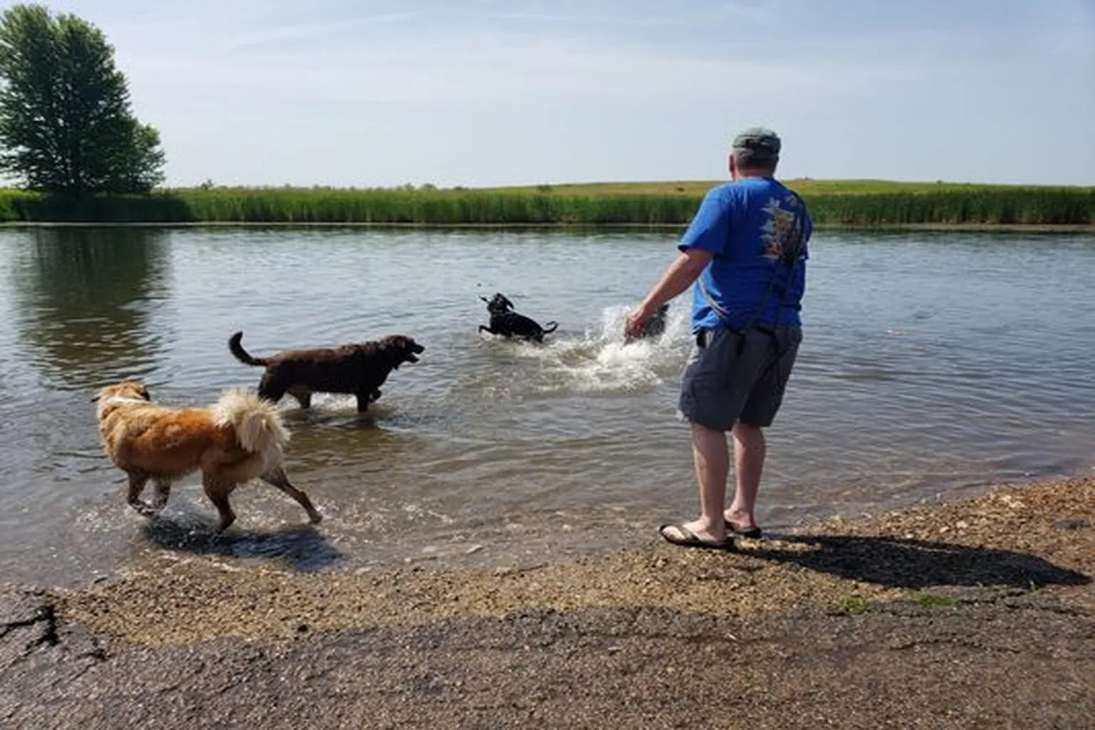 Batavia Bark Park in Batavia, Illinois - Main Image