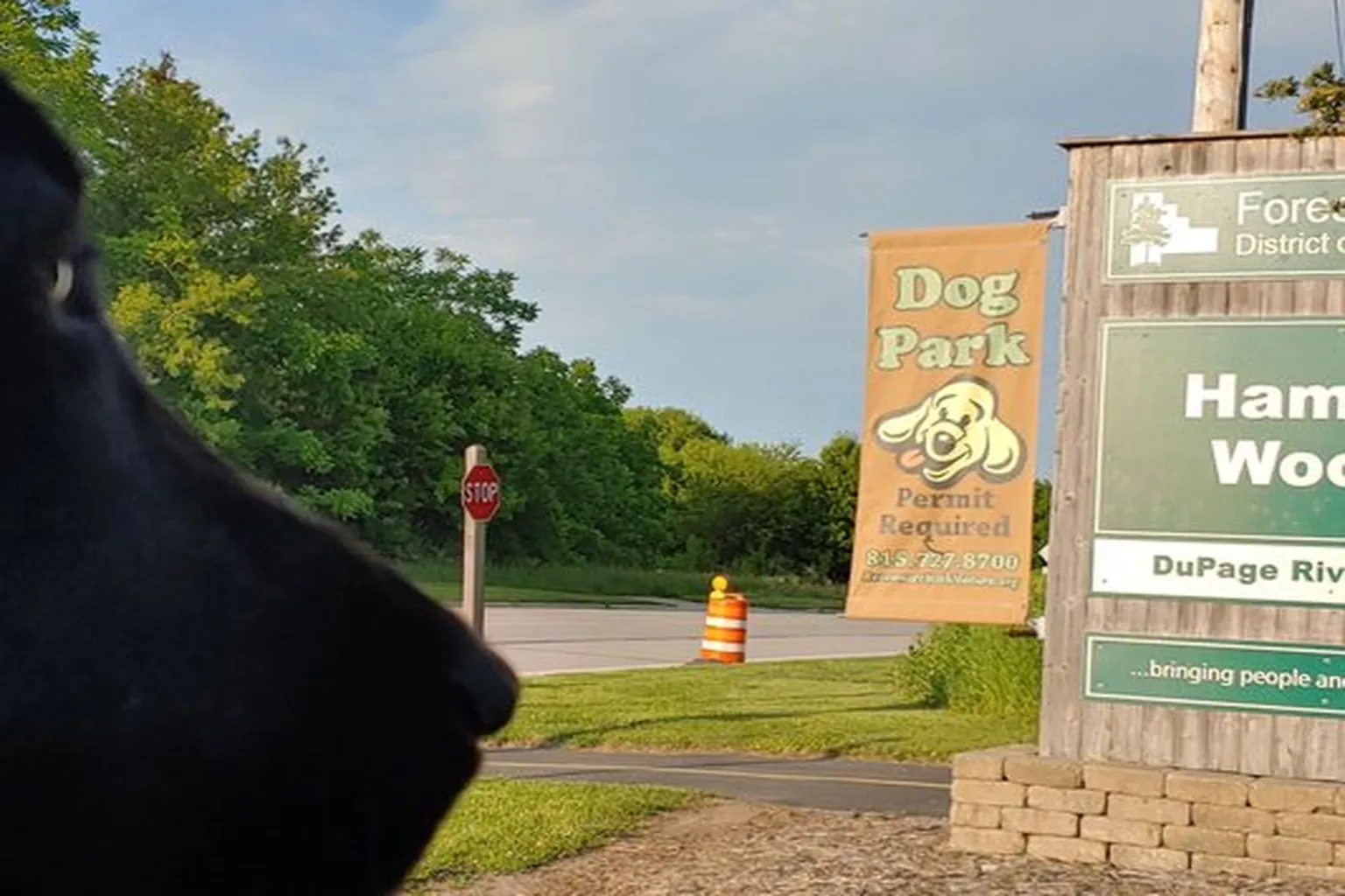 Hammel Woods Dog Park in Shorewood, Illinois