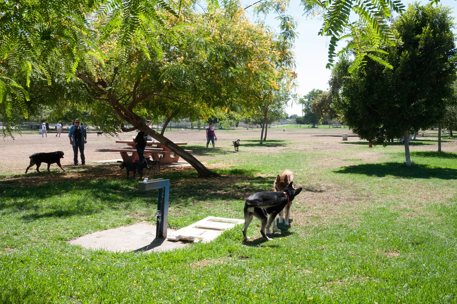 Sepulveda Basin Dog Park in Encino, California - Main Image