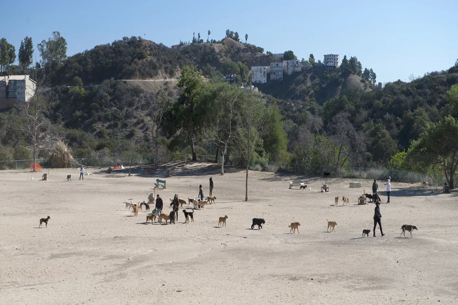 Laurel Canyon Park in Los Angeles, California - Main Image
