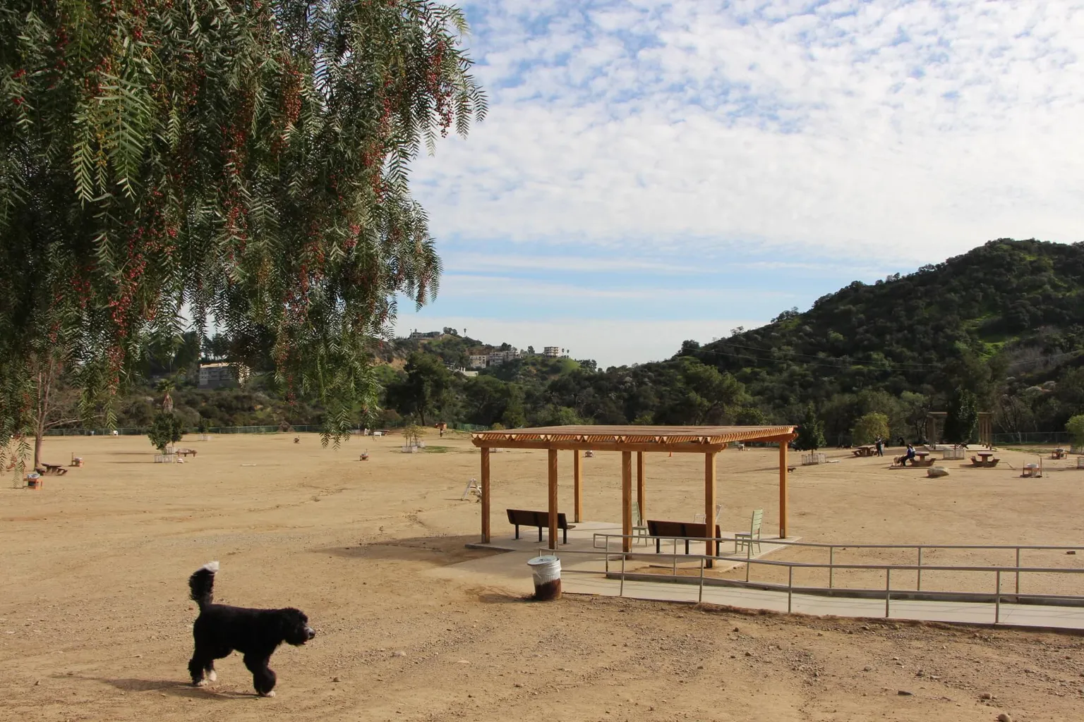 Laurel Canyon Dog Park in Studio City, California
