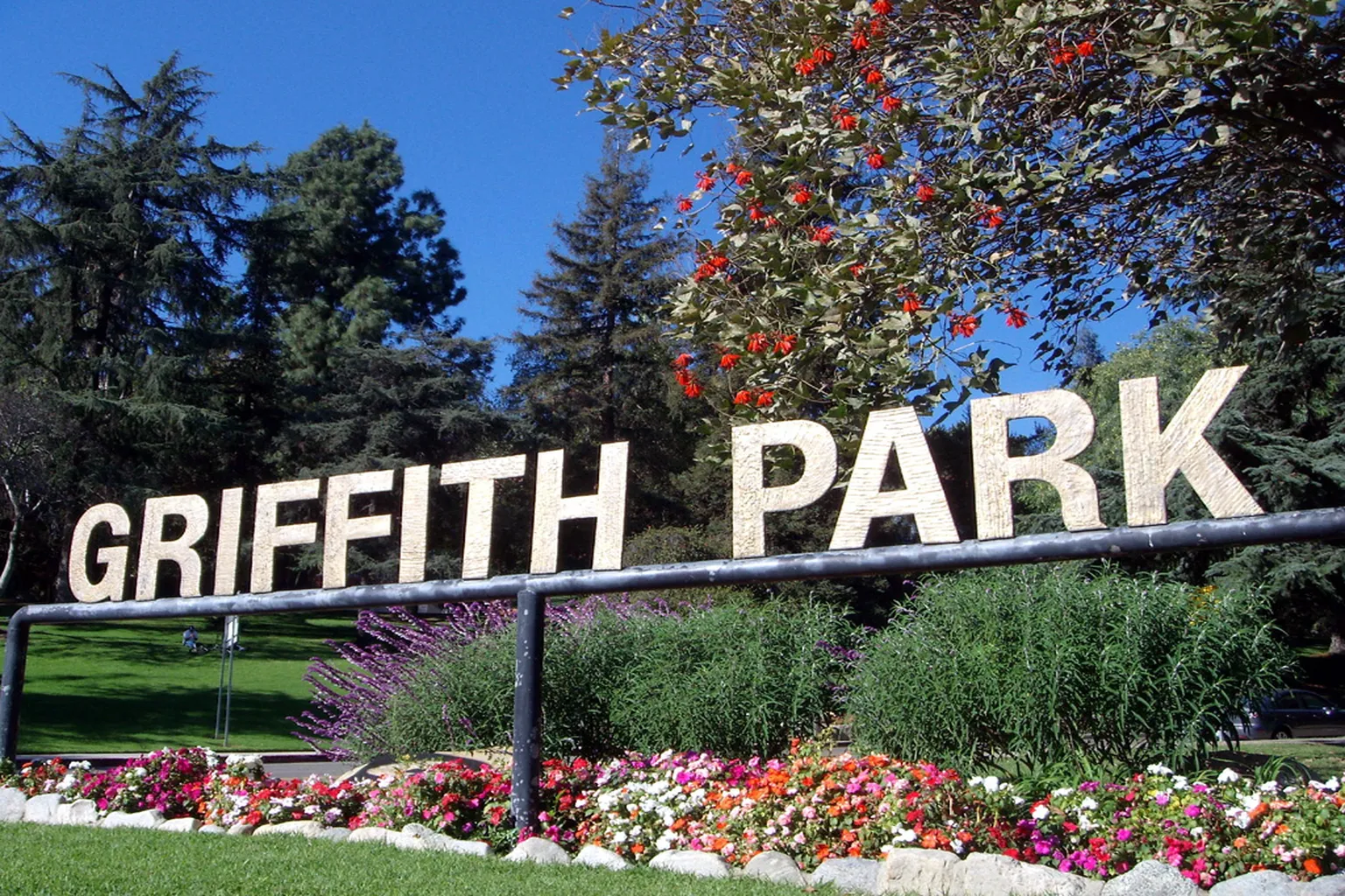 Griffith Park Dog Park in Los Angeles, California