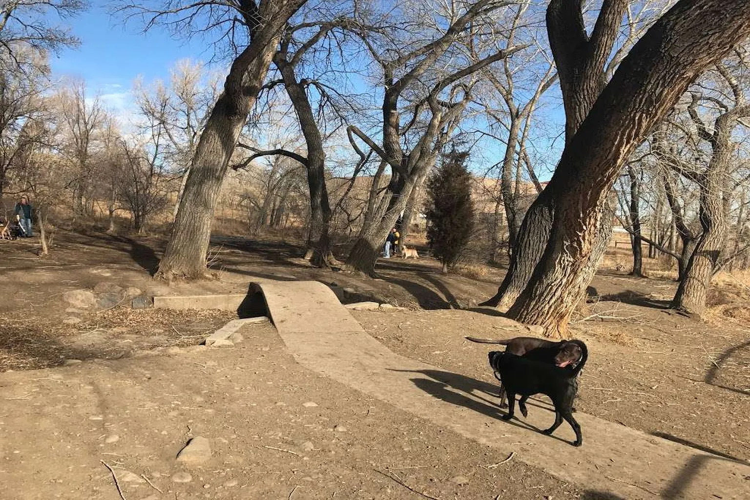 Golden Dog Park (At Tony Grampsas) in Golden, Colorado - Main Image