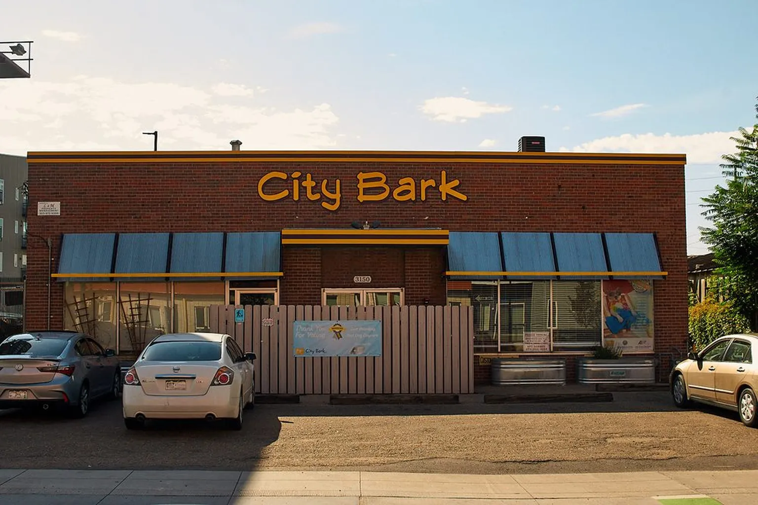 City Bark - Lodo in Denver, Colorado - Main Image