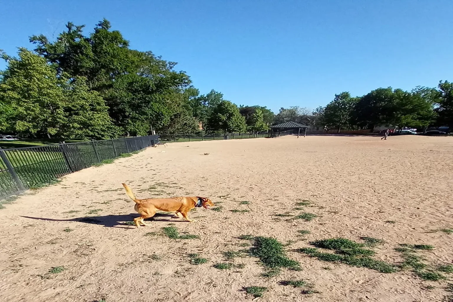 Fuller Dog Park - Denver in Denver, Colorado
