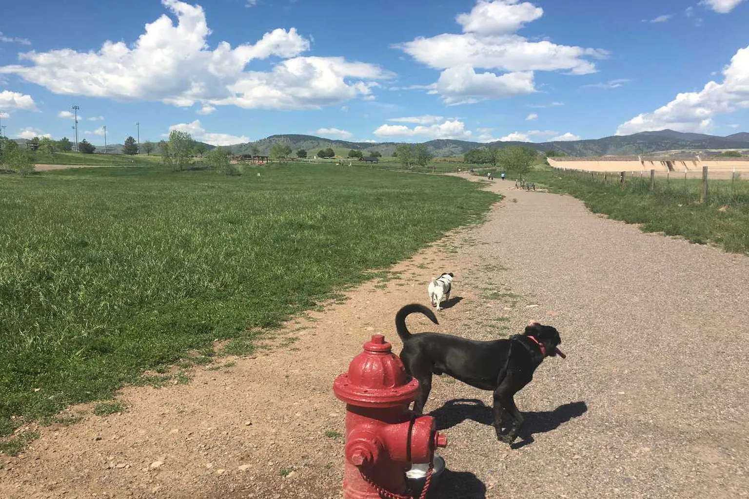 West Arvada Dog Park in Arvada, Colorado
