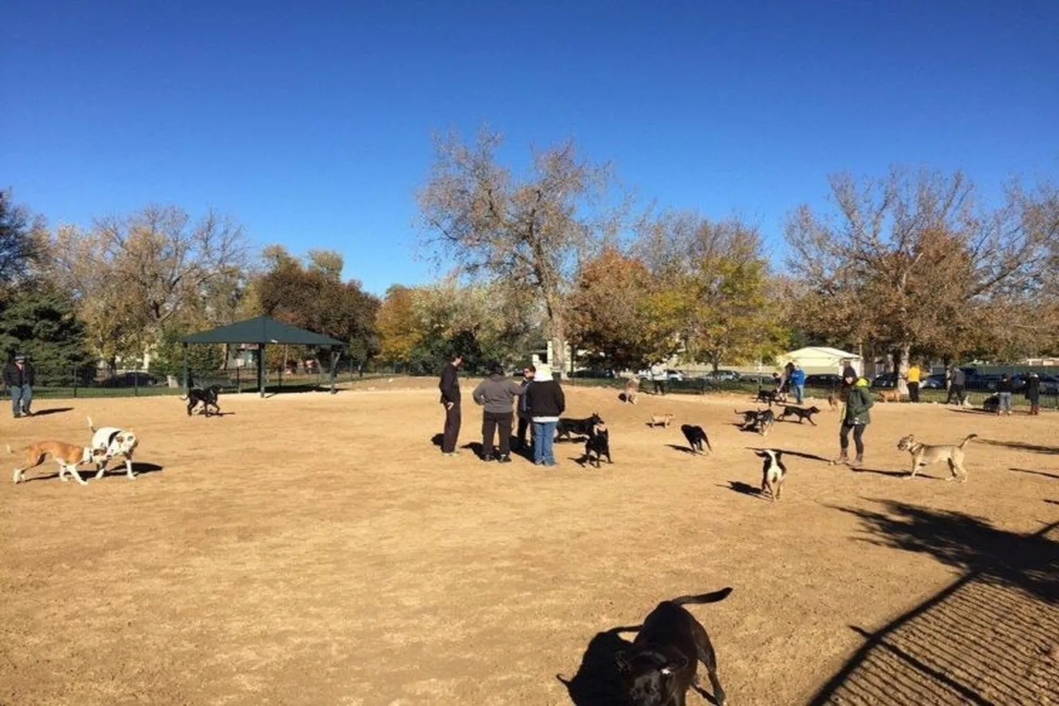 Greenway Dog Park (Near Fred Thomas Park) in Denver, Colorado