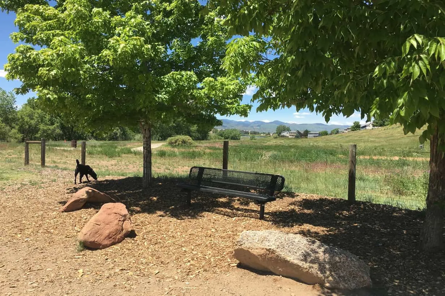 Fido's Field (At Foothill Park) in Highland Ranch, Colorado