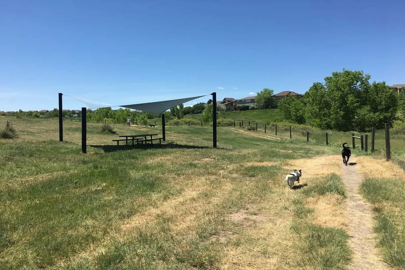 Digger's Dog Park (At Dad Clark) in Highland Ranch, Colorado
