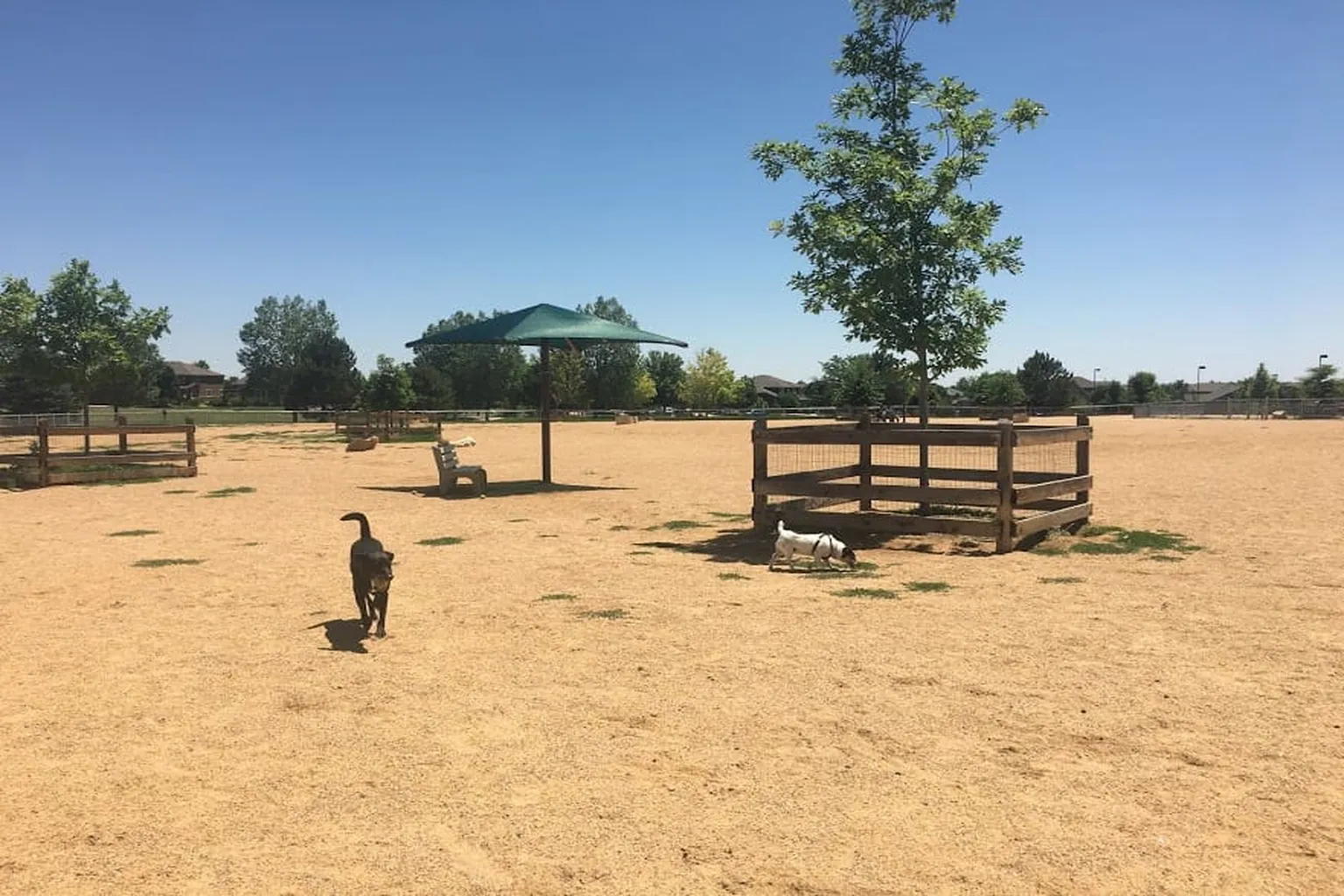 Broomfield County Commons Dog Park in Broomfield, Colorado