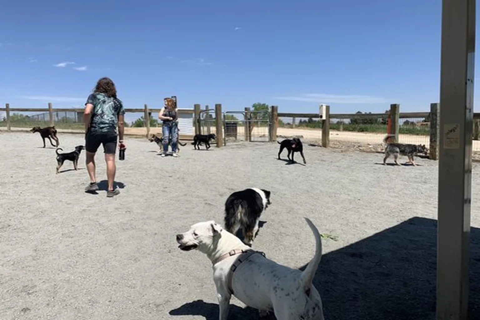 Grandview Park Dog Park in Aurora, Colorado - Main Image