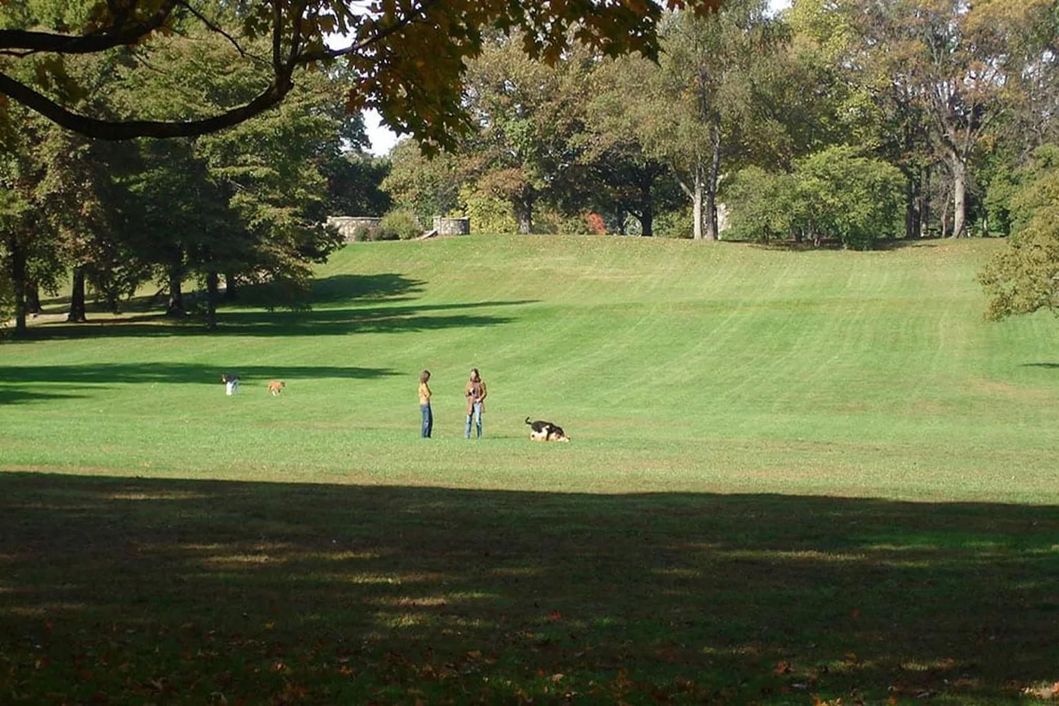 Rockford Park Off Leash Area in Wilmington, Delaware