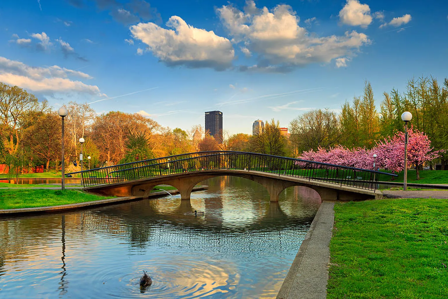 Allegheny Commons Park Or West Park Off Leash Area in Pittsburgh, Pennsylvania
